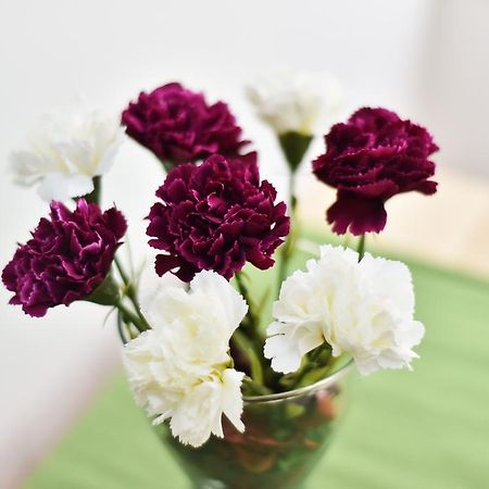 Laisves Avenue Hostel "Easy Kaunas" 외부 사진